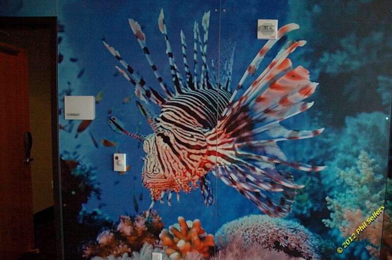 20120523_COA_Tour_29.jpg 115.7 KB