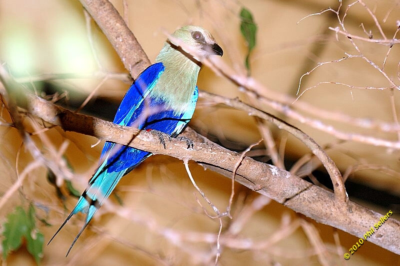 20100606_Bham_Zoo_004.jpg 280.8 KB