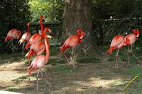 tn_20100606_Bham_Zoo_071.jpg 10 KB