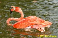 tn_bhamzoo_200609_24.jpg 10.2 KB