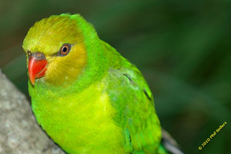 20100606_Bham_Zoo_080.jpg 196.9 KB