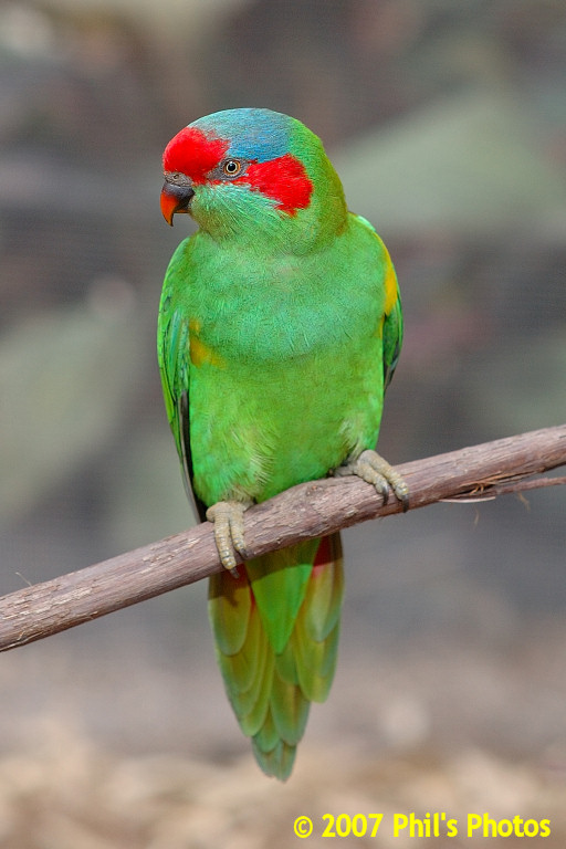 bhamzoo_200609_20.jpg 107.7 KB