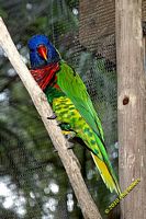 tn_20100606_Bham_Zoo_050.jpg 10.8 KB