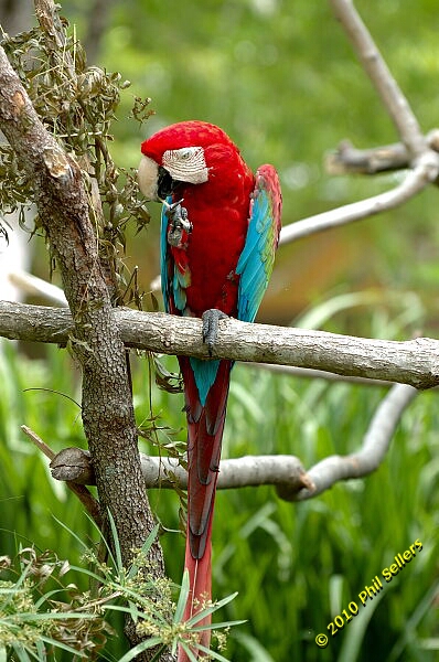 20100606_Bham_Zoo_001.jpg 213.1 KB