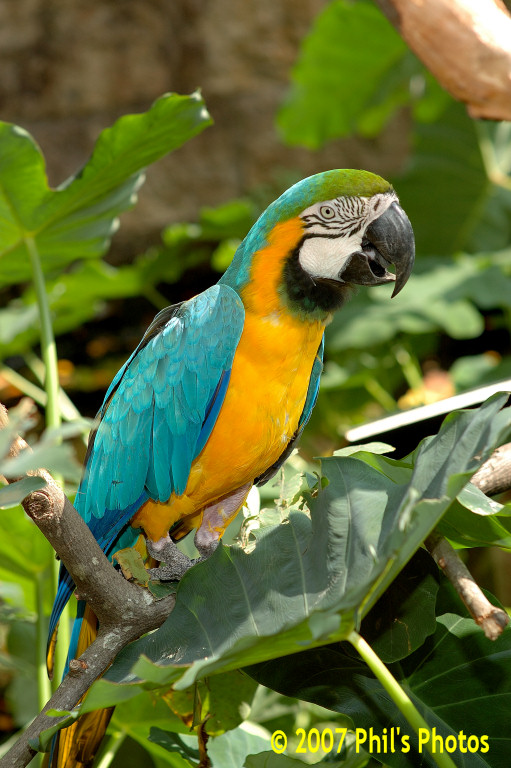 bhamzoo_200609_01.jpg 159.3 KB