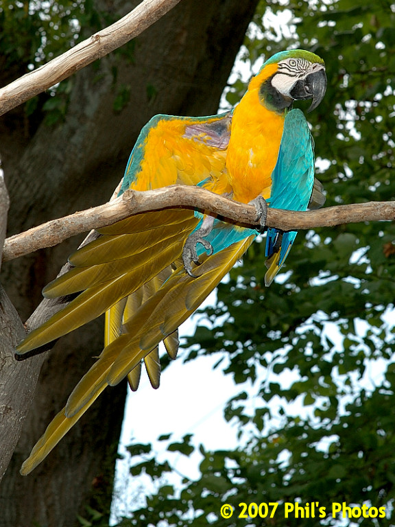 bhamzoo_200609_05.jpg 213.6 KB