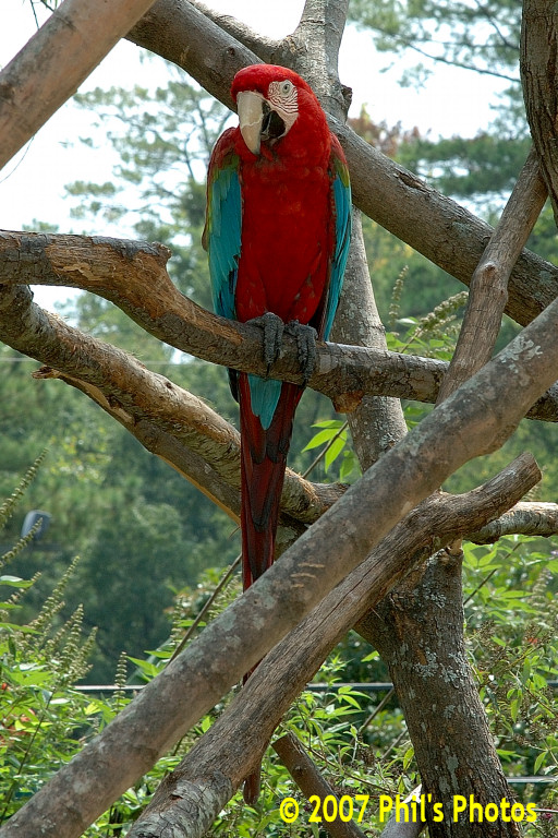 bhamzoo_200609_07.jpg 219.3 KB
