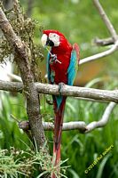 tn_20100606_Bham_Zoo_002.jpg 10.9 KB