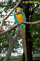 tn_bhamzoo_200609_03 (12K)