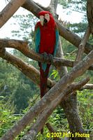 tn_bhamzoo_200609_07 (11K)