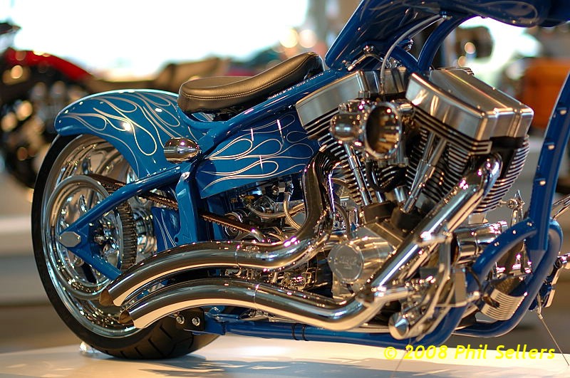 shop_rat_10.jpg 165.1 KB