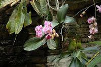 tn_Opryland_Resort_07 (10K)