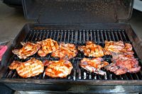 tn_2009_Memorial_Day_03 (10K)