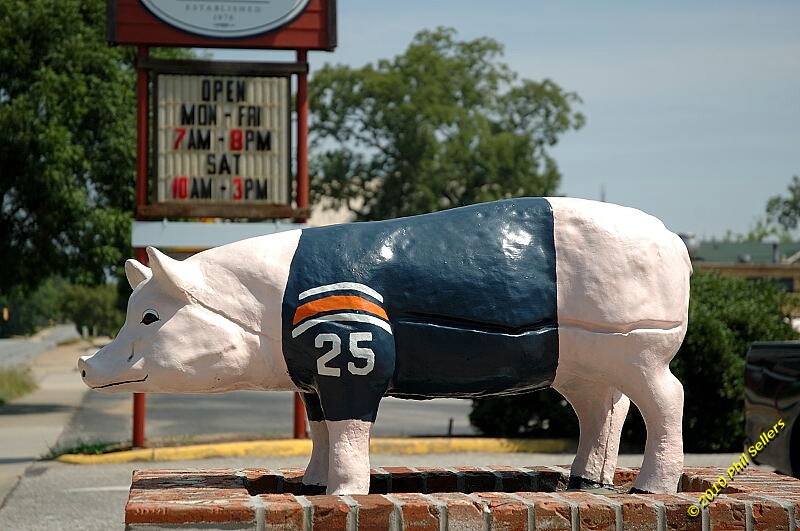 2010_auburn_hike_27.jpg 271.5 KB