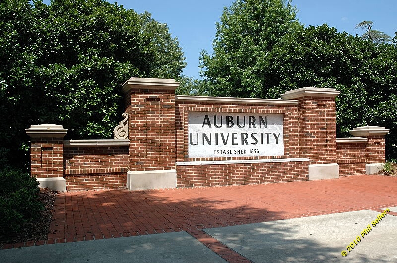 2010_auburn_hike_48.jpg 450 KB