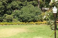 tn_2010_auburn_hike_23.jpg 11.2 KB