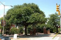 tn_2010_auburn_hike_51.jpg 10.6 KB