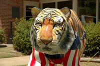 tn_2010_auburn_hike_67.jpg 10.1 KB