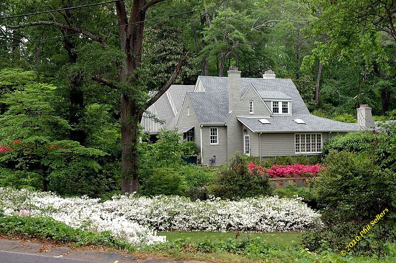 mtn_brook_25.jpg 262.5 KB