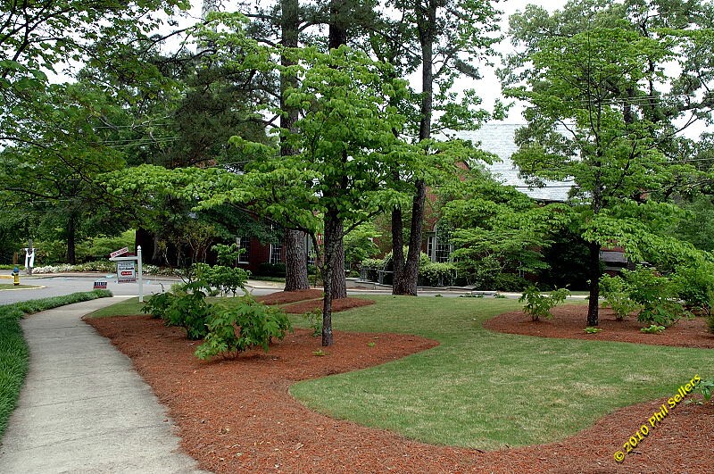 mtn_brook_27.jpg 257 KB