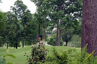 tn_mtn_brook_03.jpg 11.3 KB