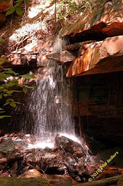 2010_vestavia_trail_08.jpg 251.3 KB