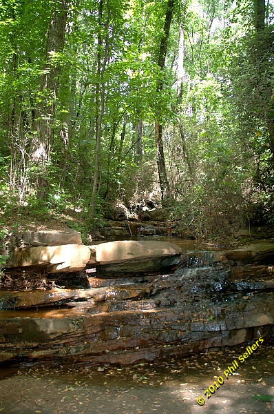 2010_vestavia_trail_11.jpg 299 KB