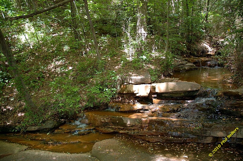 2010_vestavia_trail_13.jpg 518.8 KB