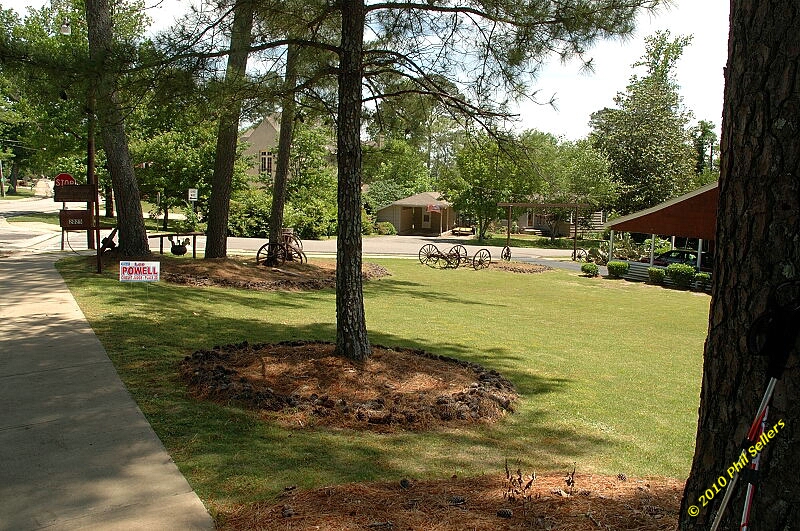 2010_vestavia_trail_28.jpg 465.2 KB