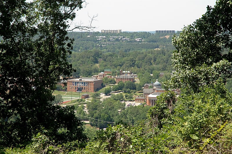 2010_vestavia_trail_35.jpg 531.6 KB