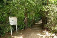 tn_2010_vestavia_trail_04.jpg 11.6 KB