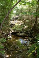 tn_2010_vestavia_trail_06.jpg 12 KB
