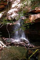 tn_2010_vestavia_trail_07.jpg 11 KB