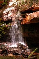 tn_2010_vestavia_trail_08.jpg 10.9 KB