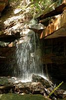 tn_2010_vestavia_trail_09.jpg 10.8 KB