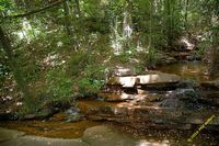 tn_2010_vestavia_trail_13.jpg 10.5 KB