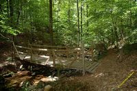 tn_2010_vestavia_trail_15.jpg 10.6 KB