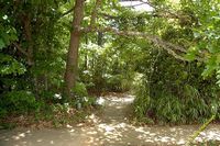 tn_2010_vestavia_trail_22.jpg 11.5 KB