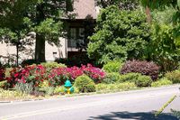 tn_2010_vestavia_trail_38.jpg 11.9 KB