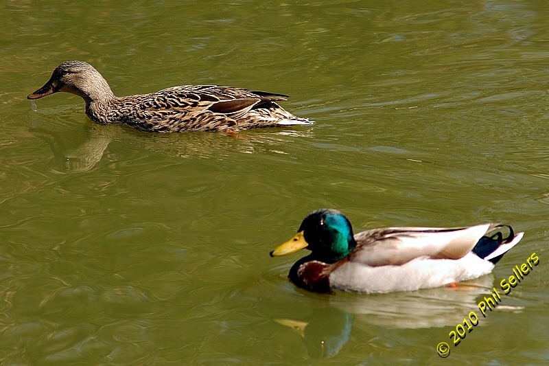 image_03.jpg 263.3 KB
