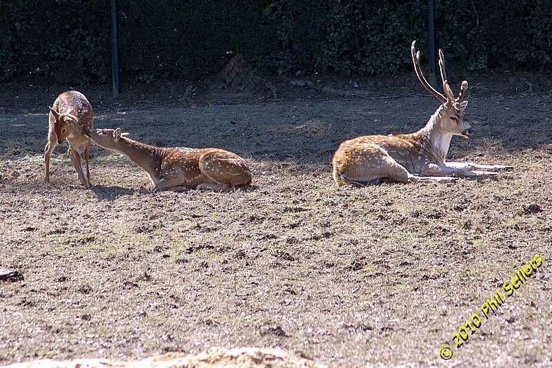 image_08.jpg 485 KB