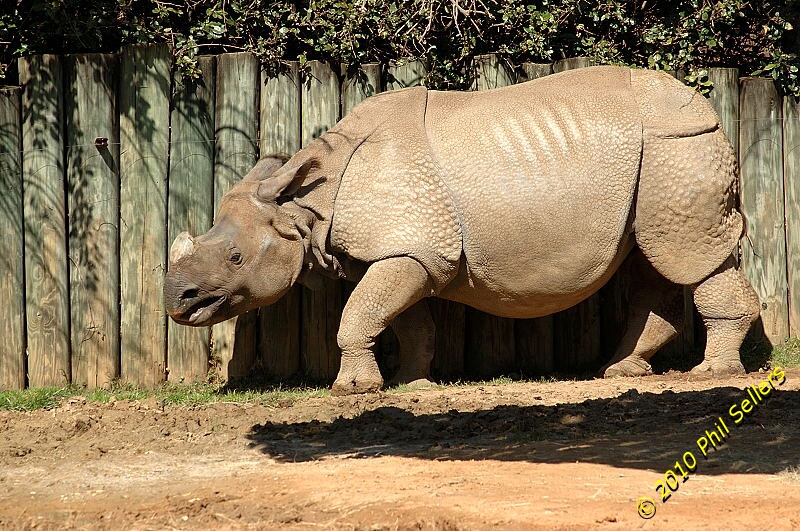 image_09.jpg 435.8 KB