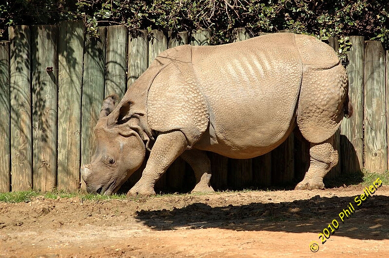 image_10.jpg 449.6 KB