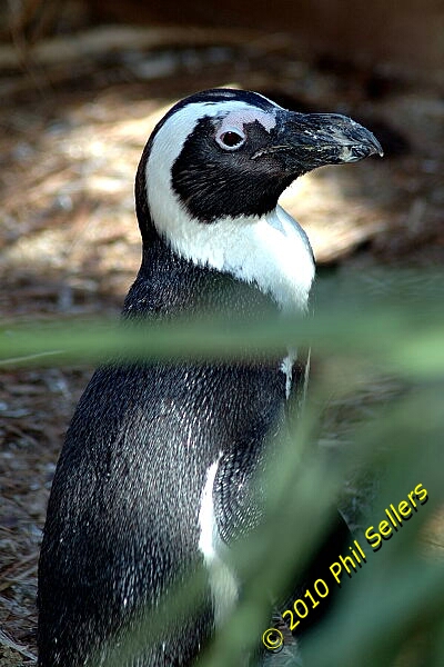 image_16.jpg 171.8 KB