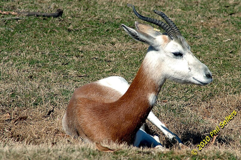 image_19.jpg 504.4 KB