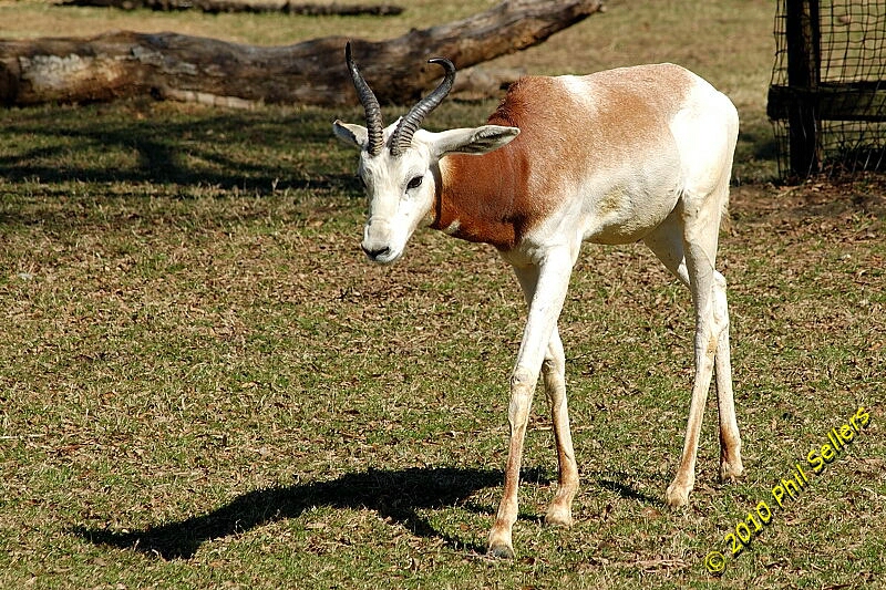 image_25.jpg 525.2 KB