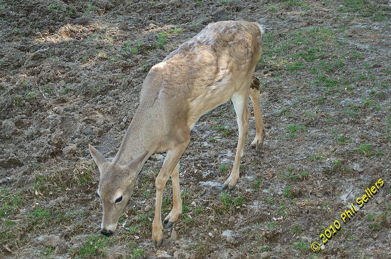 image_26.jpg 509.3 KB