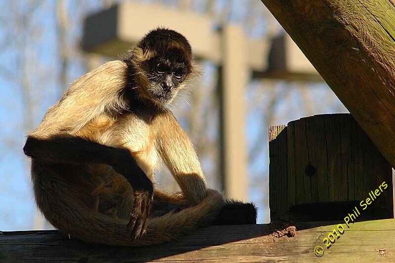 image_49.jpg 279.9 KB