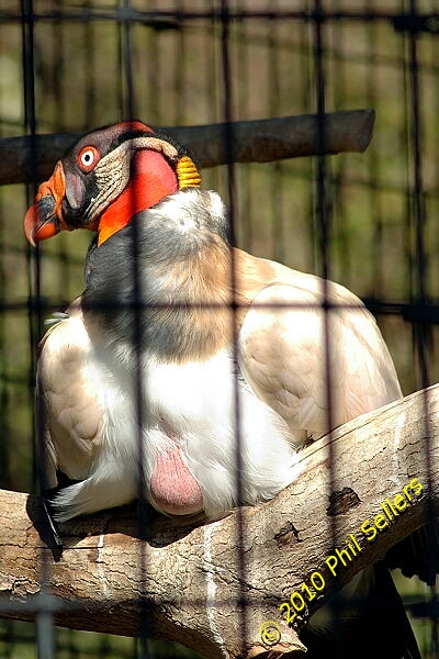 image_55.jpg 194.8 KB