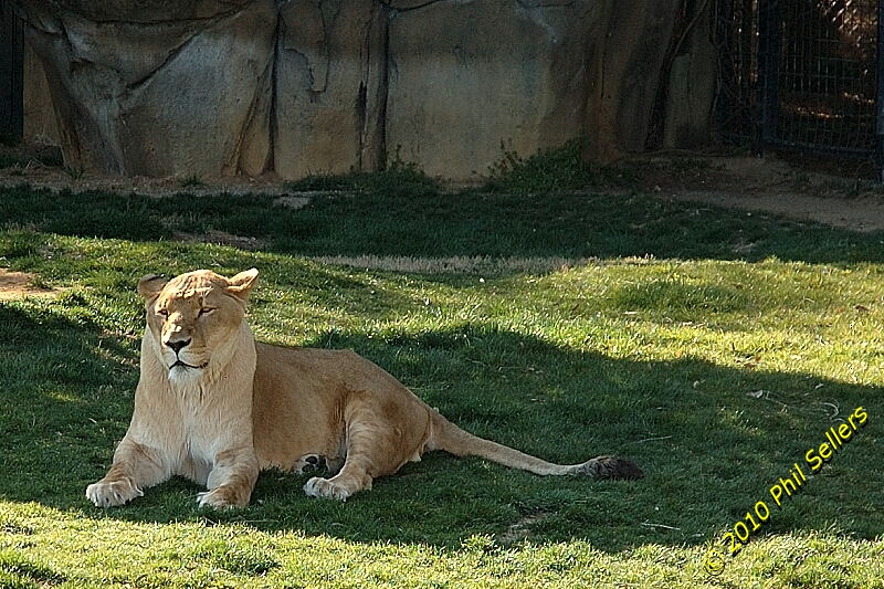 image_64.jpg 405.8 KB